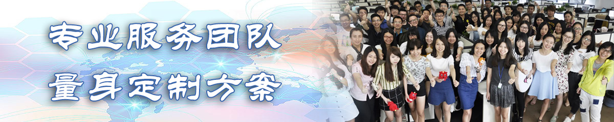 广东BI软件